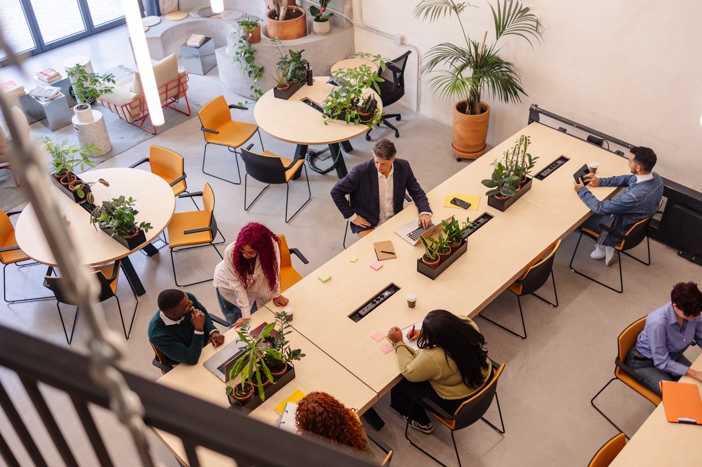 Birds eye view of office with lots of plants on desks